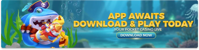 Download APP/APK